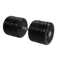 Гантель классик MB Barbell с вращающейся ручкой 60 кг MB-FdbEM-B60