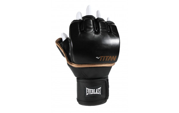 Перчатки тренировочные Everlast Titan Grappling SM P00003111 черный 600_380