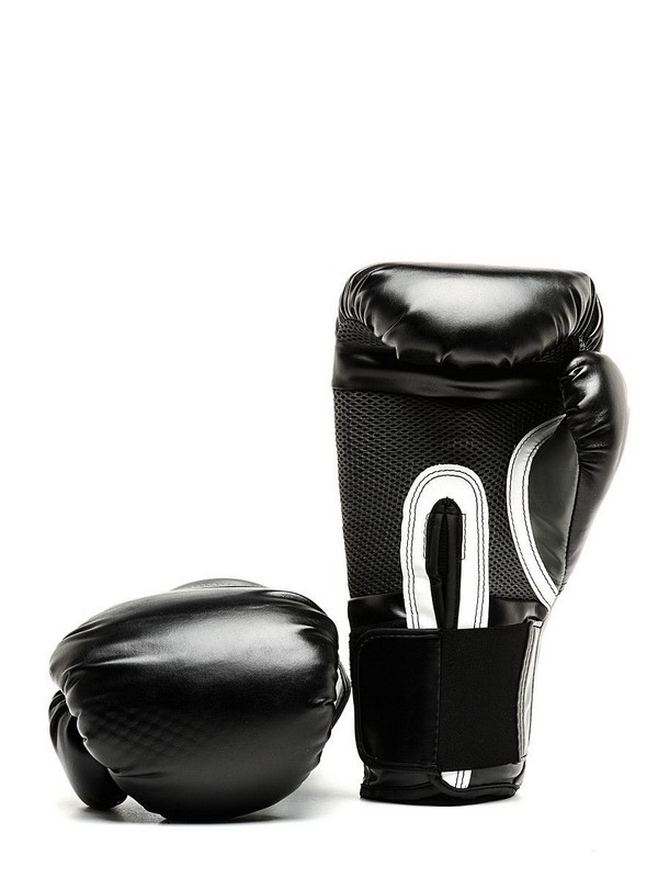 Перчатки тренировочные Everlast Pro Style Elite 16oz 2316E черный 600_800