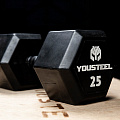 Гантель обрезиненная YouSteel HEX DB 25 кг 120_120