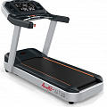 Беговая дорожка Aerofit PT300H (X4-T LED) 120_120